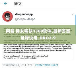 网禁 拗女稀缺1300软件,最新答案诠释说明_DRO2.9