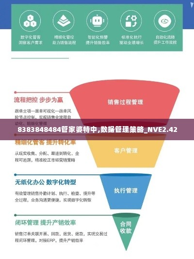 8383848484管家婆特中,数据管理策略_NVE2.42