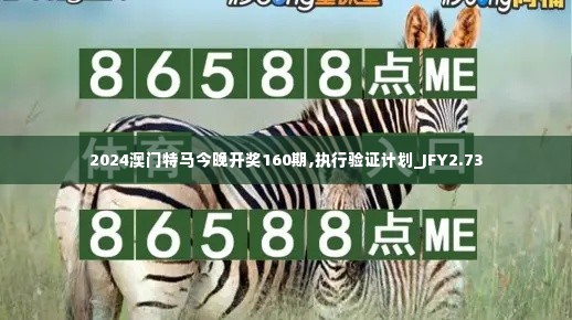 2024澳门特马今晚开奖160期,执行验证计划_JFY2.73