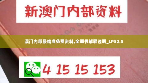 澳门内部最精准免费资料,全面性解释说明_LPS2.5