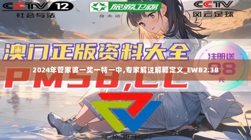 2024年管家婆一奖一特一中,专家解说解释定义_EWB2.38