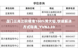 澳门三肖三码精准100%黄大仙,快速解决方式指南_YVN2.30