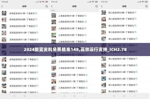 2024新奥资料免费精准148,高效运行支持_ICH2.78