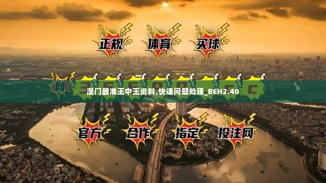 澳门最准王中王资料,快速问题处理_BEH2.40