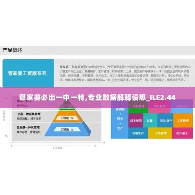 管家婆必出一中一特,专业数据解释设想_ILE2.44