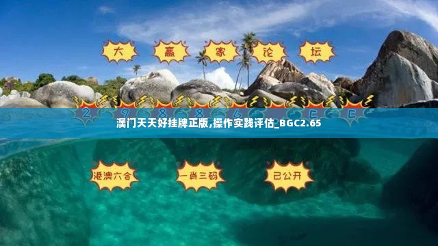 澳门天天好挂牌正版,操作实践评估_BGC2.65