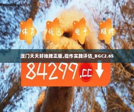 澳门天天好挂牌正版,操作实践评估_BGC2.65