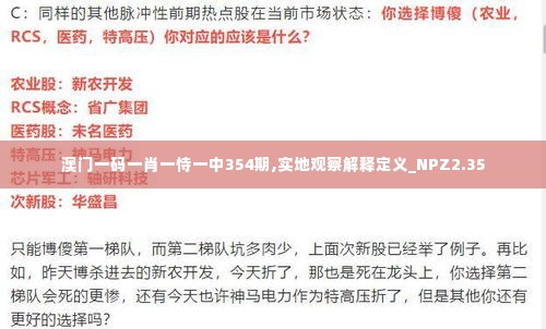 澳门一码一肖一恃一中354期,实地观察解释定义_NPZ2.35
