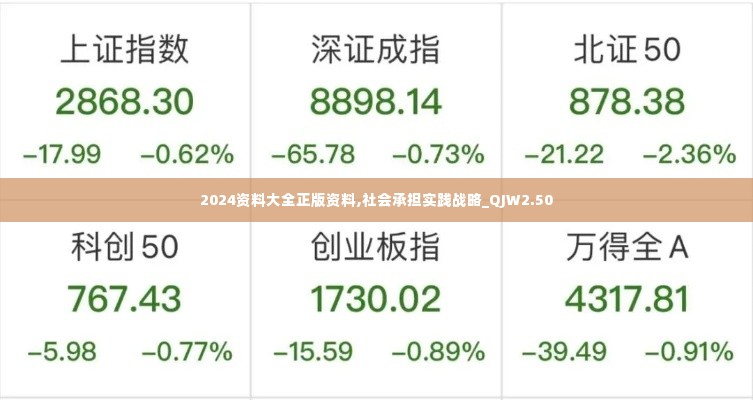 2024资料大全正版资料,社会承担实践战略_QJW2.50