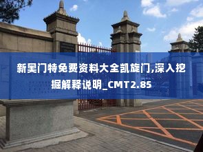 新奥门特免费资料大全凯旋门,深入挖掘解释说明_CMT2.85