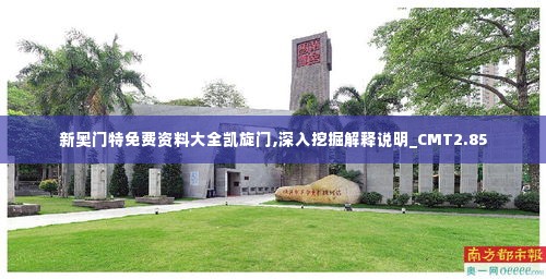 新奥门特免费资料大全凯旋门,深入挖掘解释说明_CMT2.85