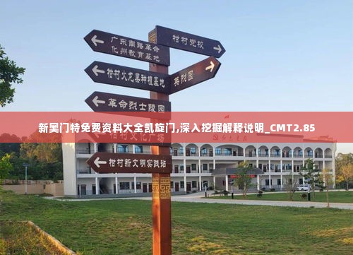 新奥门特免费资料大全凯旋门,深入挖掘解释说明_CMT2.85