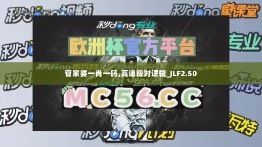 管家婆一肖一码,高速应对逻辑_JLF2.50