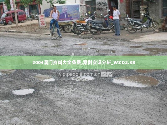 2004澳门资料大全免费,案例实证分析_WZD2.38