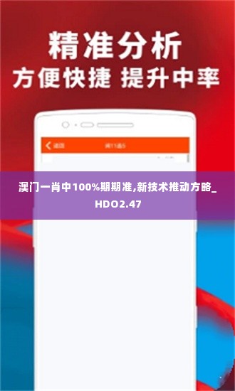 澳门一肖中100%期期准,新技术推动方略_HDO2.47