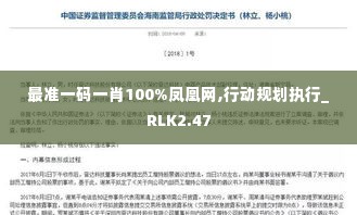 最准一码一肖100%凤凰网,行动规划执行_RLK2.47