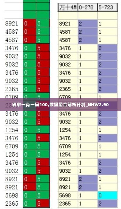 婆家一肖一码100,数据整合解析计划_NHW2.90