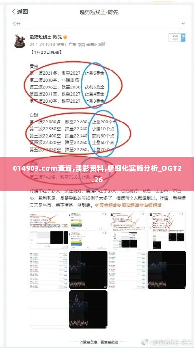 014903.cσm查询,澳彩资料,精细化实施分析_OGT2.26