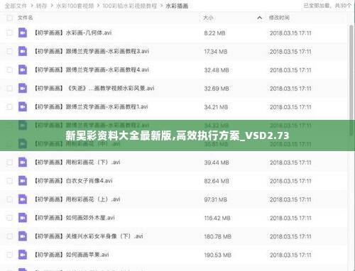 新奥彩资料大全最新版,高效执行方案_VSD2.73