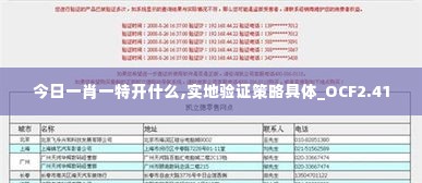 今日一肖一特开什么,实地验证策略具体_OCF2.41