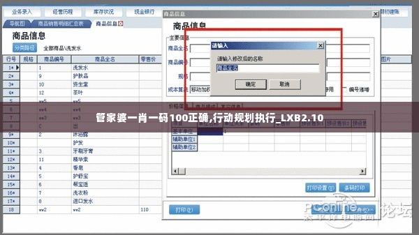 管家婆一肖一码100正确,行动规划执行_LXB2.10