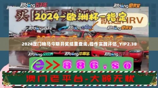 2024澳门特马今期开奖结果查询,操作实践评估_YIP2.38