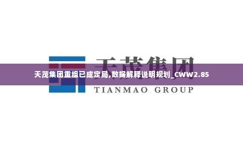 天茂集团重组已成定局,数据解释说明规划_CWW2.85