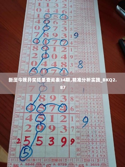 新澳今晚开奖结果查询表34期,精准分析实践_BKQ2.87