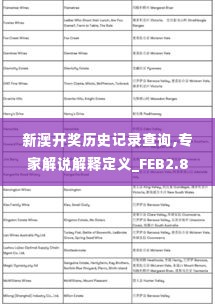 新澳开奖历史记录查询,专家解说解释定义_FEB2.86