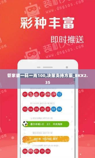 管家婆一码一肖100,决策支持方案_BKX2.35