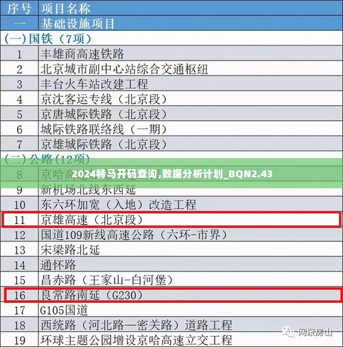 2024特马开码查询,数据分析计划_BQN2.43