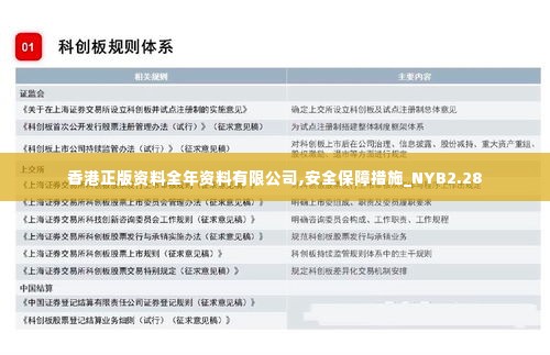 香港正版资料全年资料有限公司,安全保障措施_NYB2.28