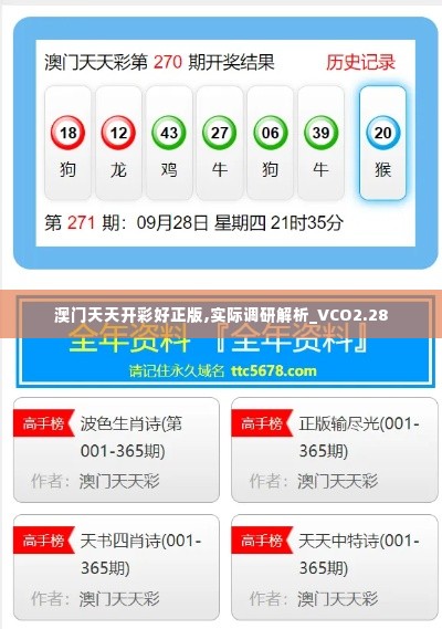澳门天天开彩好正版,实际调研解析_VCO2.28