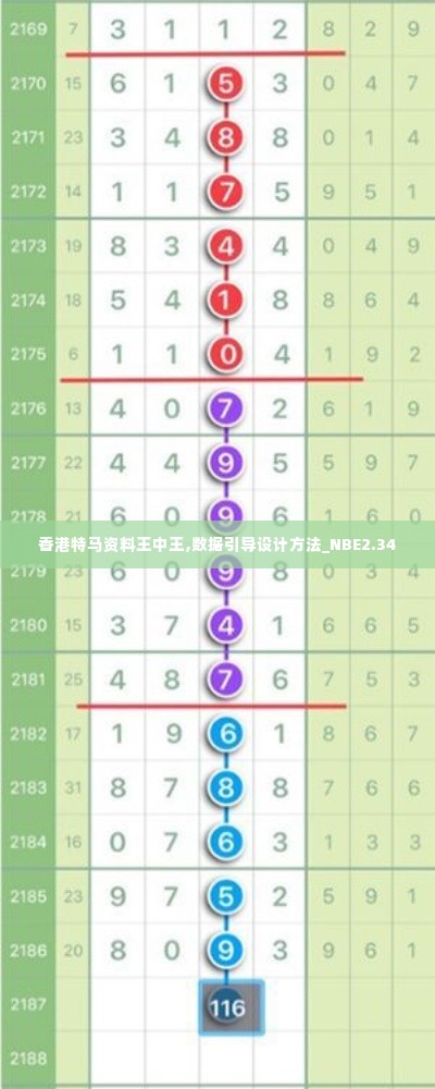 香港特马资料王中王,数据引导设计方法_NBE2.34