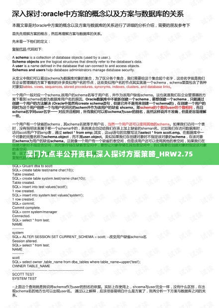 澳门九点半公开资料,深入探讨方案策略_HRW2.75