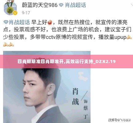 四肖期期准四肖期准开,高效运行支持_DZX2.19