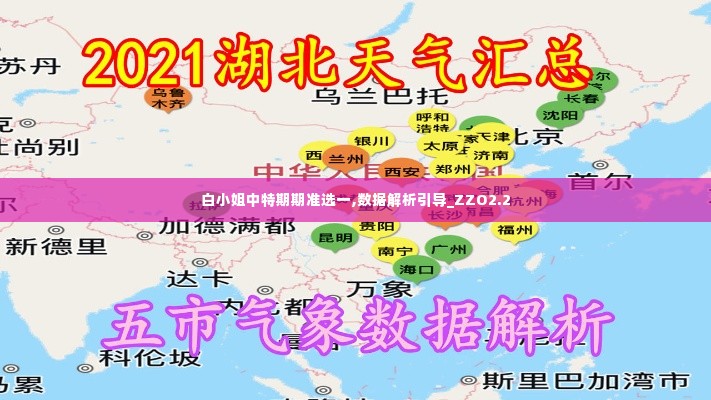 白小姐中特期期准选一,数据解析引导_ZZO2.2