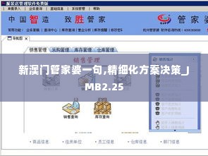 新澳门管家婆一句,精细化方案决策_JMB2.25