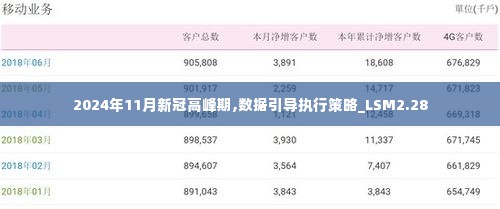 2024年11月新冠高峰期,数据引导执行策略_LSM2.28