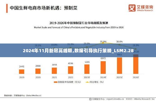 2024年11月新冠高峰期,数据引导执行策略_LSM2.28
