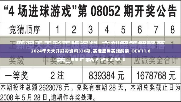 2024年天天开好彩资料330期,实地应用实践解读_OEV11.6