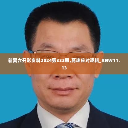 新奥六开彩资料2024第333期,高速应对逻辑_XNW11.13