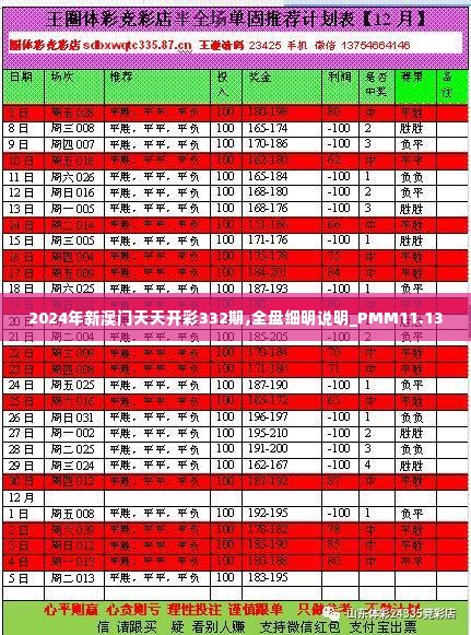 2024年新澳门天天开彩332期,全盘细明说明_PMM11.13