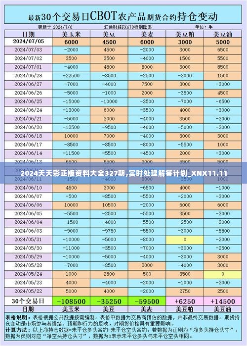 2024天天彩正版资料大全327期,实时处理解答计划_XNX11.11