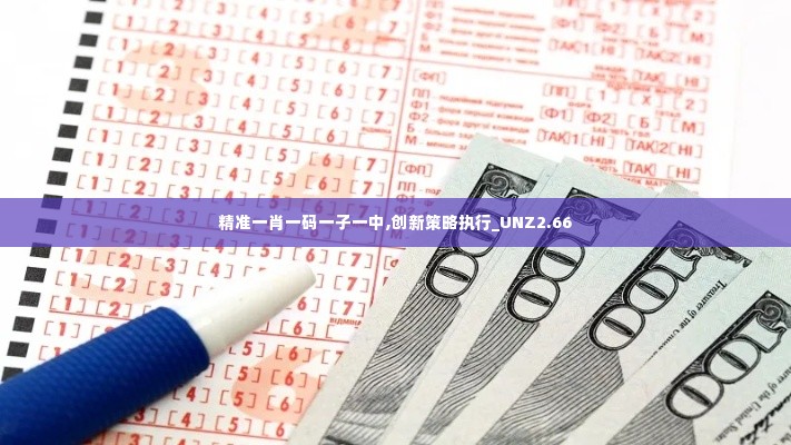 精准一肖一码一子一中,创新策略执行_UNZ2.66
