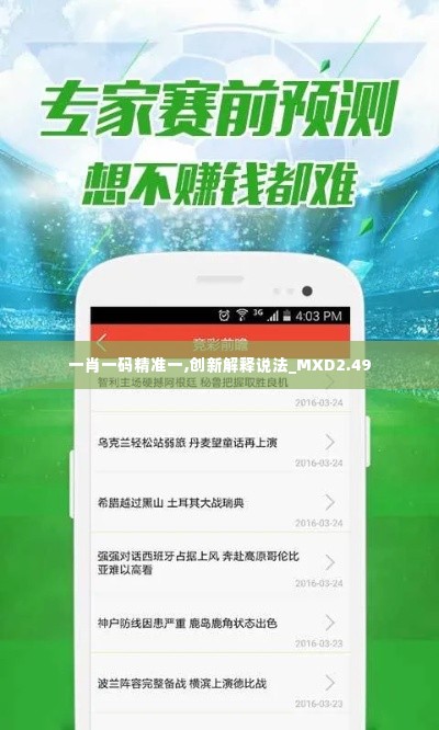 一肖一码精准一,创新解释说法_MXD2.49