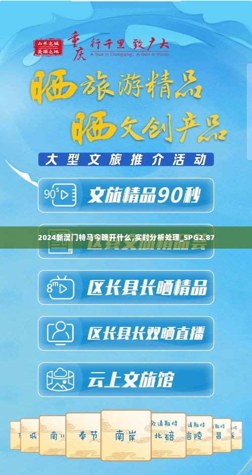 2024新澳门特马今晚开什么,实时分析处理_SPG2.87