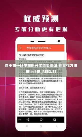 白小姐一码中期期开奖结果查询,连贯性方法执行评估_REE2.85