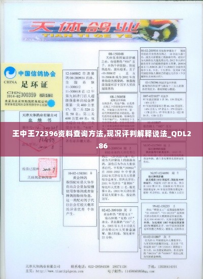 王中王72396资料查询方法,现况评判解释说法_QDL2.86