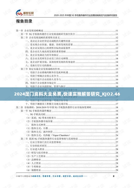 2024澳门资料大全免费,快速实施解答研究_KJO2.46